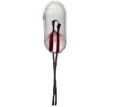 Foco Tipo Arroz 12V